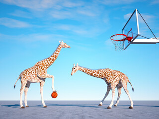 Two giraffes playing basketball. Sport concept.