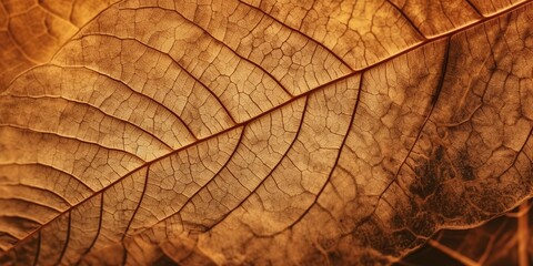 Close up of fiber structure of dry leaves texture background, autumn season, generative ai