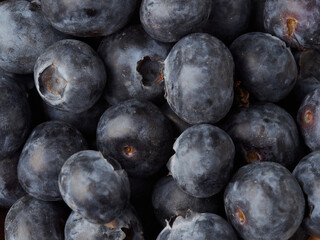 Fresh organic blueberries in a bowl closeup view