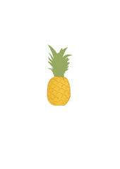 Whole pineapple, hand drawn fruit illustration, isolated image