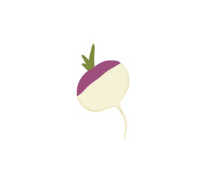 Turnip. Handmade illustration of a turnip. Minimalist drawing of a vegetable. Isolated image on transparent background.