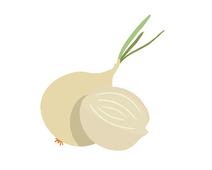 Onion. Yellow onion. Minimalist illustration of a vegetable. Handmade drawing. Image on transparent background.