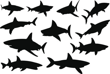 Shark silhouettes. A set of shark silhouette vector illustrations.