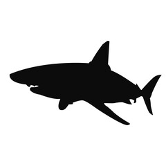 Shark silhouette. Black shark illustration.
