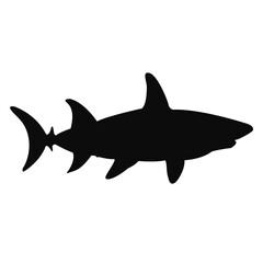 Shark silhouette. Black shark illustration.