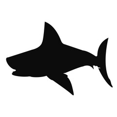 Shark silhouette. Black shark illustration.