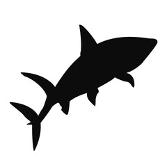 Shark silhouette. Black shark illustration.