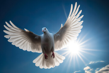 Plakat White dove flying in the sun rays in blue sky. Generative AI