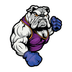 Muscular bulldog mascot wearing boxing gloves getting ready for a fight.Vector illustration