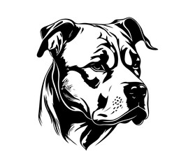 american pit bull terrier, american pit bull terrier Dog Face SVG, black and white american pit bull terrier vector