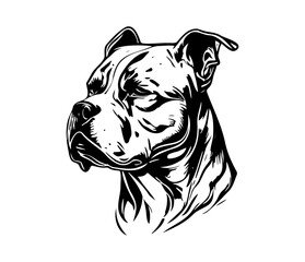 american pit bull terrier, american pit bull terrier Dog Face SVG, black and white american pit bull terrier vector