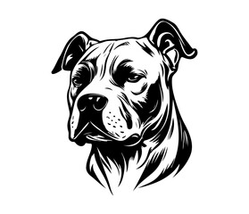 american pit bull terrier, american pit bull terrier Dog Face SVG, black and white american pit bull terrier vector
