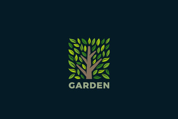 Tree Logo Square Shape Design Vector template. Park Garden Forest Eco Nature Logotype concept icon.