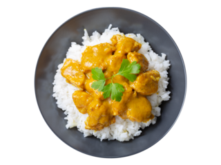 plate of chicken with curry sauce and rice isolated on transparent background, top view
