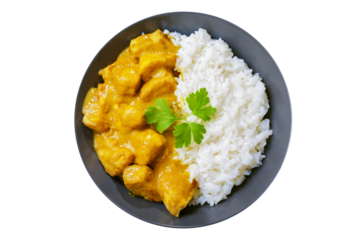 plate of chicken with curry sauce and rice isolated on transparent background, top view