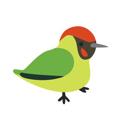 Bird Green woodpecker