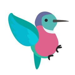 Bird Hummingbird illustration