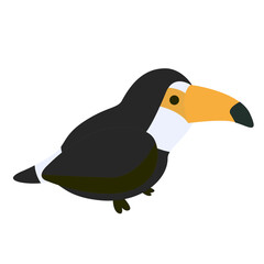 Bird Toucan cartoon