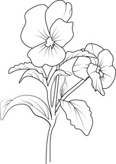 Pansy flower line art, vector illustration, hand-drawn pencil sketch, coloring book, and page, isolated on white background clip art. purple pansies drawing, realistic pansy flower outline drawing.