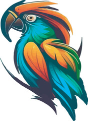Parrot multicolor vector illustration isolated on white background
