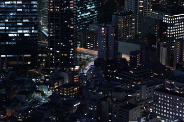 Fototapeta na wymiar Night aerial view of Tokyo, Japan. Tokyo urban city view from above