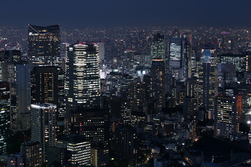 Fototapeta na wymiar Night aerial view of Tokyo, Japan. Tokyo urban city view from above