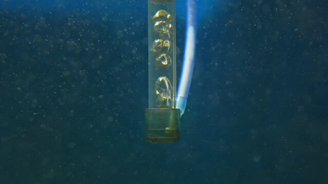 An air bubbler oxygenator slow motion with CO2 gas bubbles around. Control of oxygen levels in the fish tank water for healthy aquarium, and well being of fish and other aquatic animals, hobby.