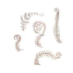 Owl crystals magic glass flask bottle and vintage books stack watercolor illustration hand drawn set separately on white background