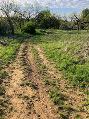 Hiking trail runs beneath a cloud studded sky