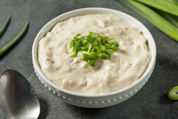 Homemade Sour Cream and Onion Dip