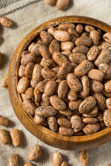 Dry Organic Raw Pinto Beans