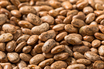 Dry Organic Raw Pinto Beans