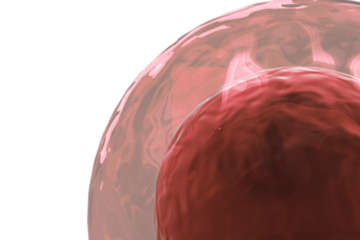 Ovum against white background
