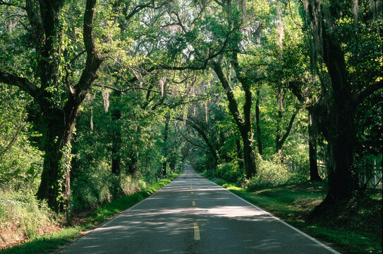 Road, Tallahassee, Florida, USA