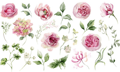 Watercolor flowers clipart. Pink peony, rose, hydrangea. Floral elements for card, invitation, decoration. Illustration isolated on transparent background © Nataliya Kunitsyna