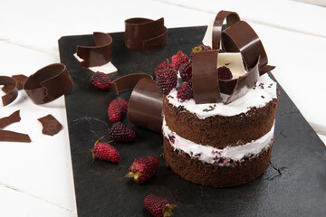 Chocolate cake with blue berries