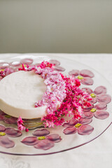 Obraz na płótnie Canvas white cheesecake with pink cherry blossoms and currant shrub flowers