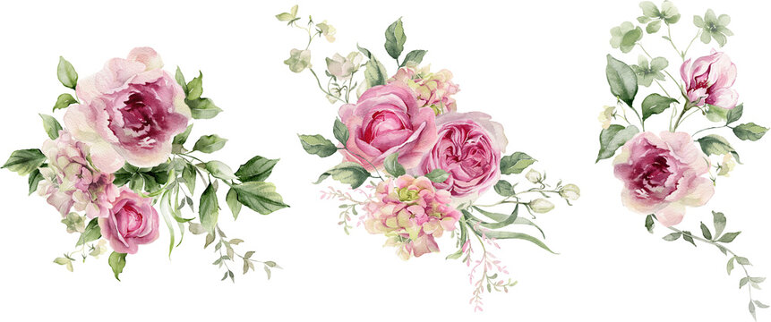 Watercolor flowers bouquet. Pink peony, rose, hydrangea. Floral arrangement for card, invitation, decoration. Illustration isolated on transparent background