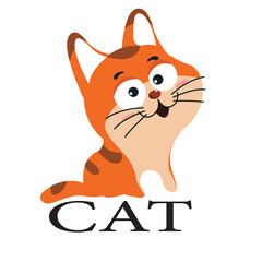 red cat with a smile