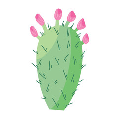 Blooming cactus on white background