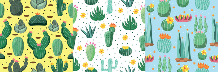 Different patterns with many cacti and succulents on color background © Pixel-Shot