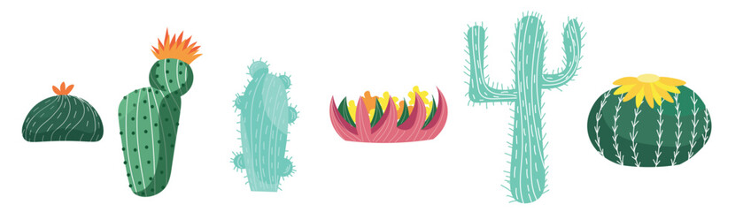 Set of different cacti and succulents on white background © Pixel-Shot