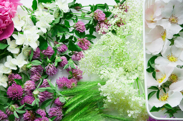 background with spring tender bright flowers. peony with jasmine on white background