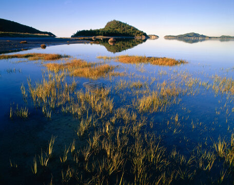 Gulf of St. Lawrence, Parc du Bic, Gaspe, Quebec, Canada