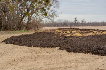 Heap of manure on the plowed field Preparation of the earth for season, Natural fertilizer is used for bio organic farming and gardening. Straws, manure and other organic waste decomposing on the pile