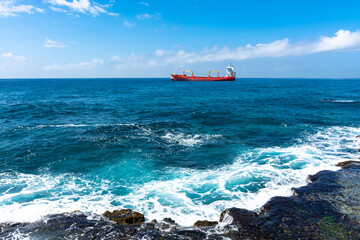 Dominican Republic Santo Domingo, beautiful Caribbean sea coast with turquoise water and palm trees