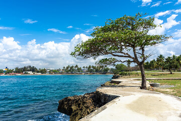 Dominican Republic Santo Domingo, beautiful Caribbean sea coast with turquoise water and palm trees