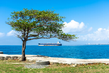 Dominican Republic Santo Domingo, beautiful Caribbean sea coast with turquoise water and palm trees