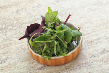 Vegetarian mix green vitamin salad