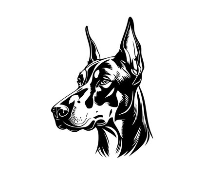 recommend clip art: Doberman, Doberman Dog Face SVG, black and white Doberman vector